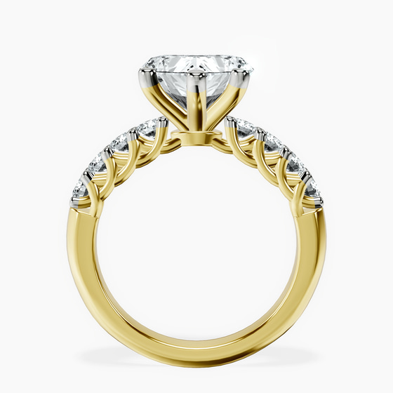 Cassidy Entwined Prongs Lab Diamond Ring left view