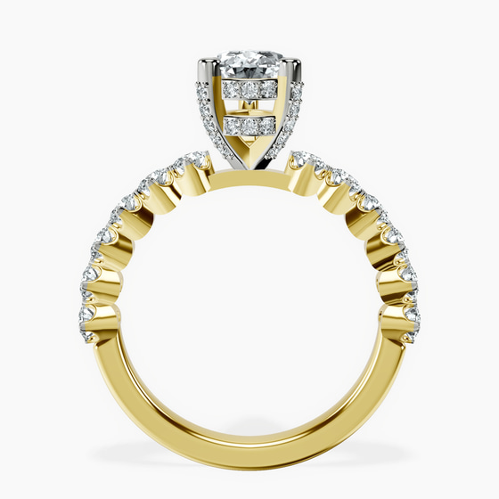 Caitronia Floating Side Stones Lab Diamond Ring left view