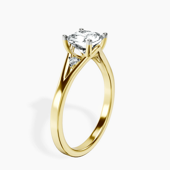 standing product image one