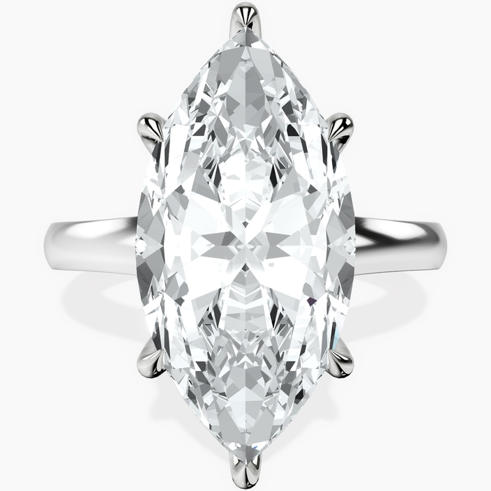 Platinum Arielle Solitaire Lab Diamond Ring front image