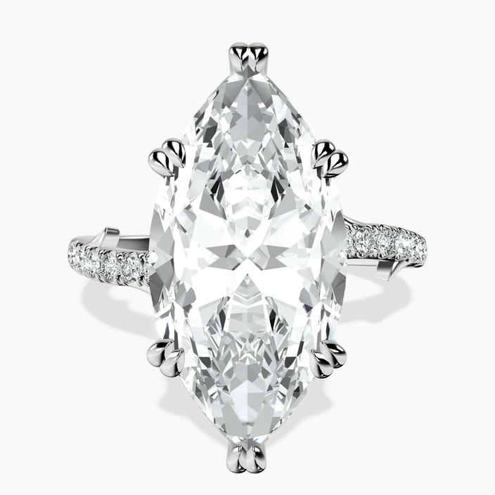 Platinum Phoebe Twigs Lab Diamond Ring front image