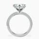 Platinum Grace Micro pavé Eternity Lab Diamond Ring side right image one