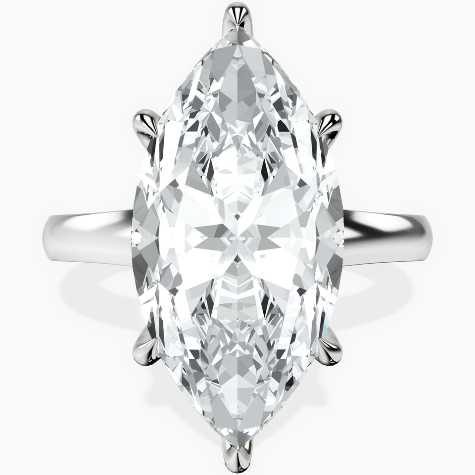 Platinum Arielle Solitaire Lab Diamond Ring front image