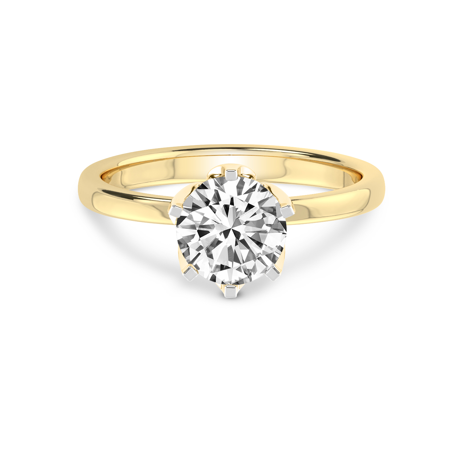 Jonas & Bailey Product image 