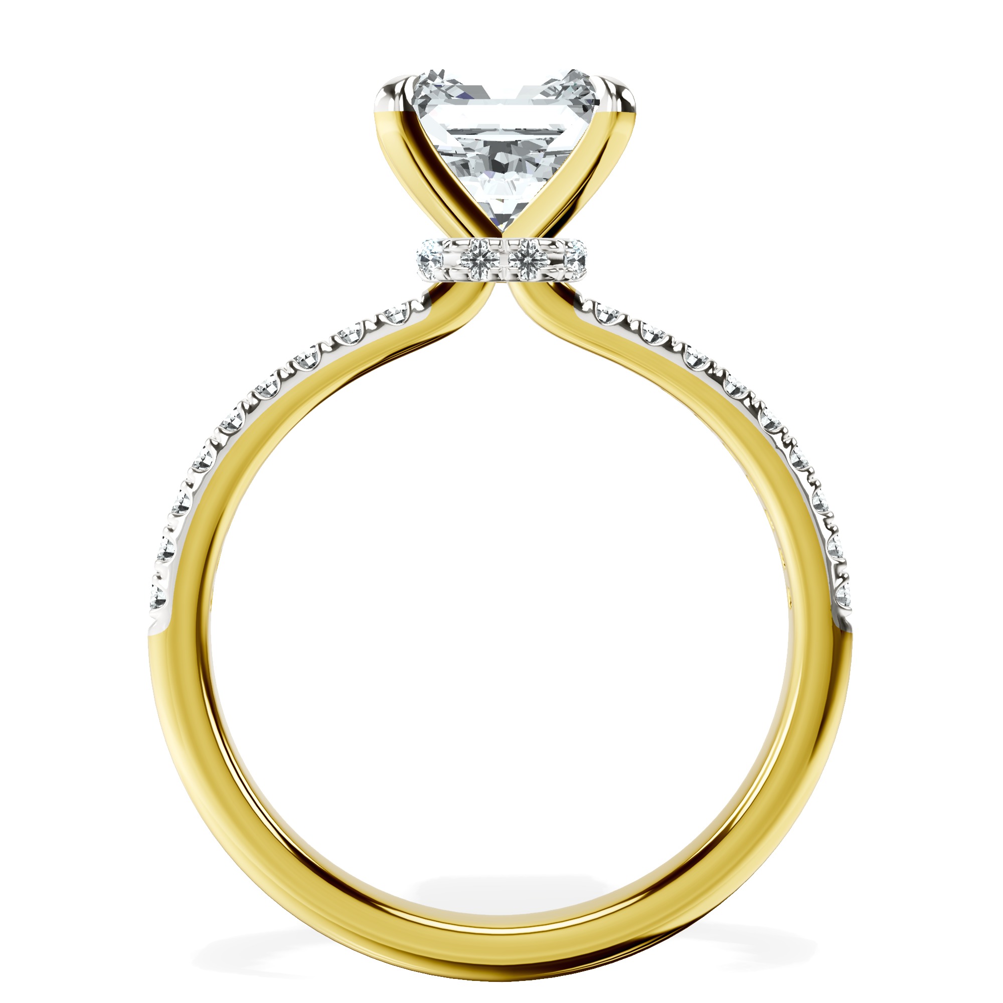 Etienne Secret Halo Lab Diamond Ring left view
